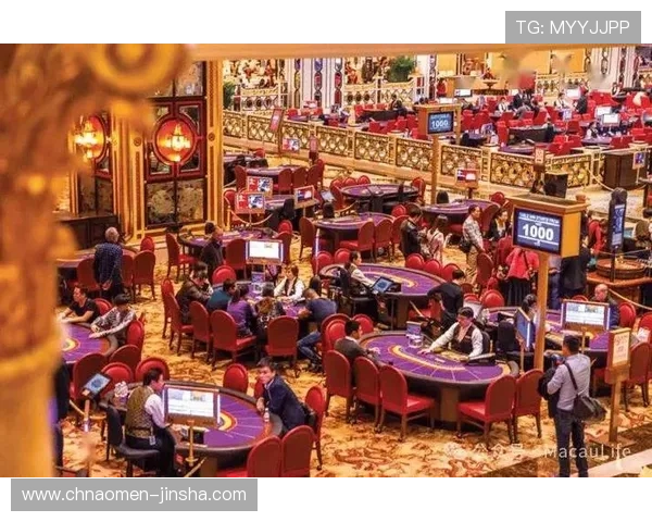 新濠国际赌场客户服务与安全保障：保障玩家权益的全面措施详解